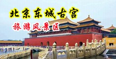 用力cao我视频中国北京-东城古宫旅游风景区